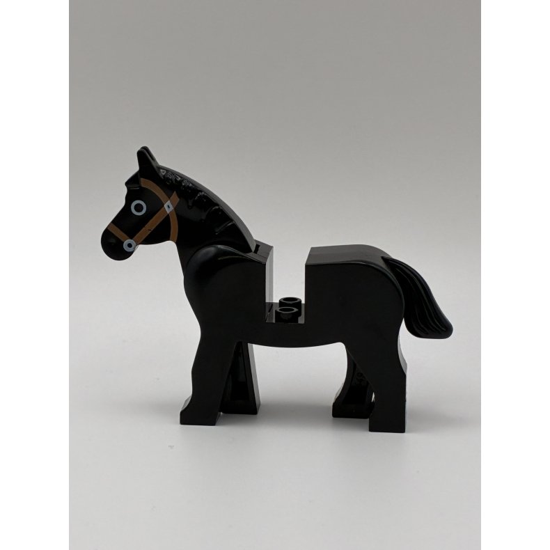 Brugt hest